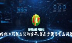 如何找回IM钱包忘记的密码：详尽步骤与常见问题