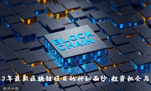揭开2023年最新区块链项目的神秘面纱:投资机会与风险分析