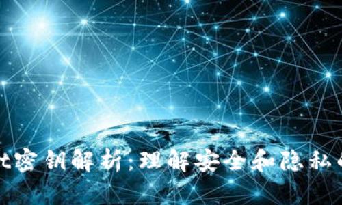 tpWallet密钥解析:理解安全和隐私的重要性