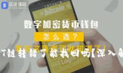 tpWallet USDT链转错了能找回吗？深入解析与解决方