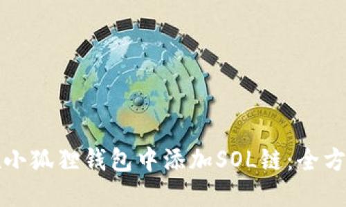 如何在小狐狸钱包中添加SOL链:全方位指南