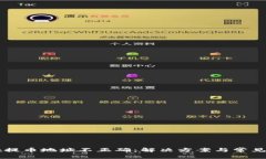 tpWallet提币地址不正确：解决方案与常见问题解析