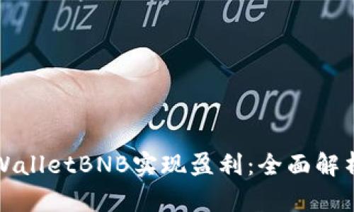 如何通过tpWalletBNB实现盈利:全面解析与操作指南