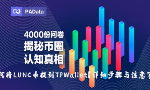 如何将LUNC币提到TPWallet?详细步骤与注意事项