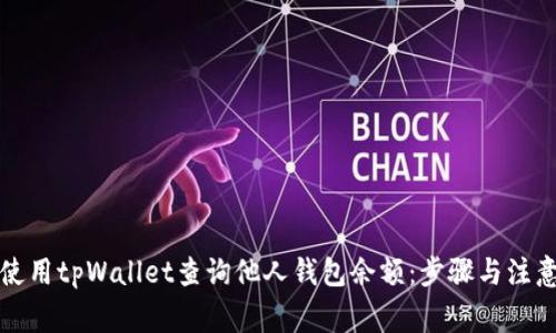 如何使用tpWallet查询他人钱包余额:步骤与注意事项