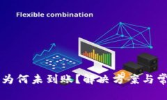 tpWallet币为何未到账？解决方案与常见问题解析