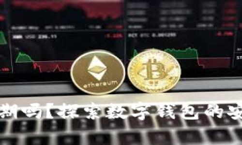 tpWallet会过期吗?探索数字钱包的安全性与有效性
