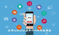 使用tpWallet获取BNB的终极指南