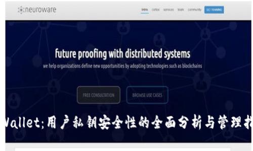 tpWallet：用户私钥安全性的全面分析与管理指南