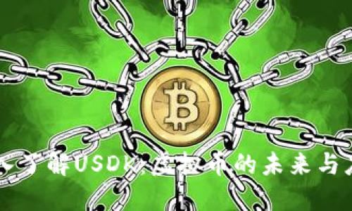 深入了解USDK:虚拟币的未来与应用