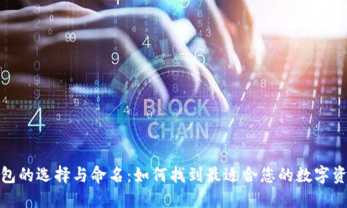 数字货币钱包的选择与命名:如何找到最适合您的数字资产管理工具