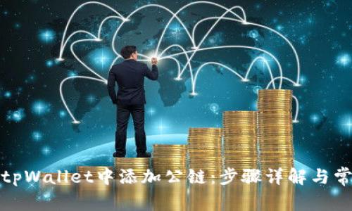如何在tpWallet中添加公链：步骤详解与常见问题