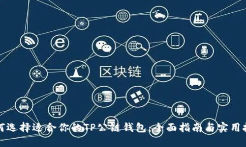 如何选择适合你的TP公链钱包:全面指南与实用技巧