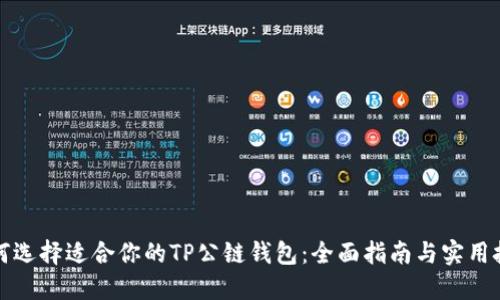 如何选择适合你的TP公链钱包:全面指南与实用技巧
