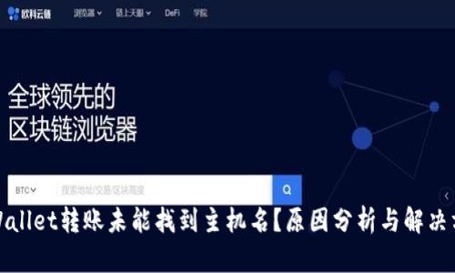 tpWallet转账未能找到主机名？原因分析与解决方案