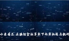 小米有品：区块链金融革新下的新机遇与挑战
