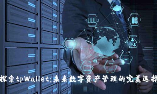 探索tpWallet：未来数字资产管理的完美选择