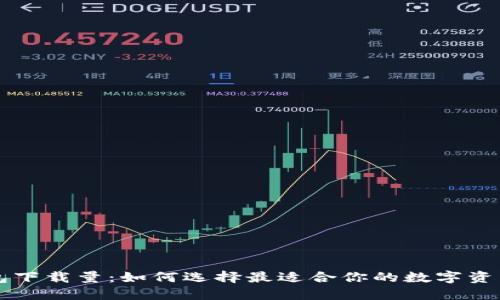 区块链钱包下载量:如何选择最适合你的数字资产管理工具
