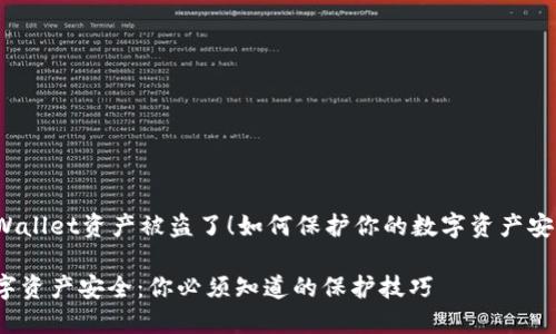 tpWallet资产被盗了！如何保护你的数字资产安全？

数字资产安全：你必须知道的保护技巧