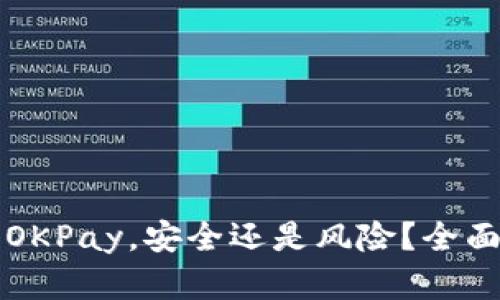 注册OKPay，安全还是风险？全面解析