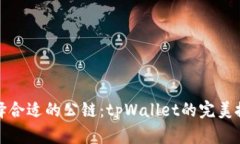 选择合适的公链：tpWallet的完美搭档