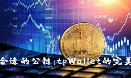 选择合适的公链：tpWallet的完美搭档