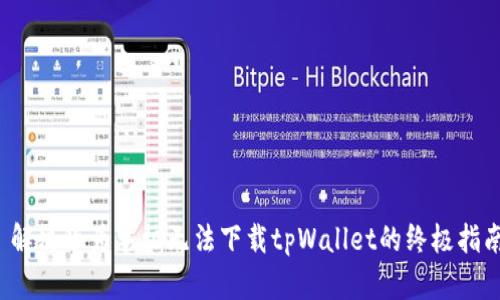  解决华为手机无法下载tpWallet的终极指南