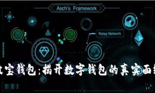 波宝钱包：揭开数字钱包的真实面纱