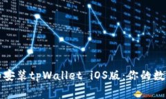 如何免费下载和安装tpWallet iOS版：你的数字资产